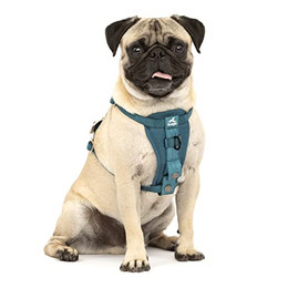 Produktbild von Kurgo TRU-Fit Hundegeschirr XS Tinte Blau