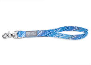 Produktbild von Kurzführer Bluessoni