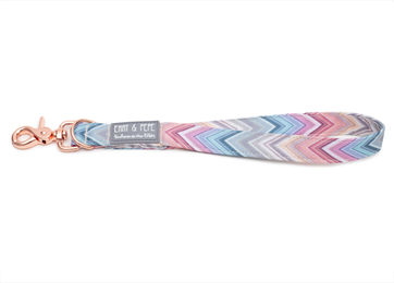 Produktbild von Kurzführer Waussoni