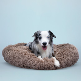 Produktbild von Kuschelbett Braun