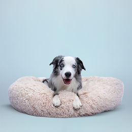 Kuschelbett Creme 70 cm - 70 cm – Bild 1 von 2