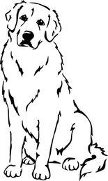 Produktbild von Kuvasz Grafiklizenz