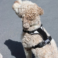 Produktbild von K9 Sport Sack Hundegeschirr Lunar Rock Größe M