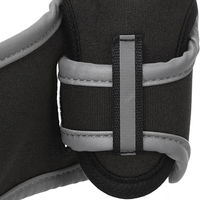 Produktbild von Kajan Pfotenschuhe für Hunde Flamingo Grün Neopren XXL 2 Stück