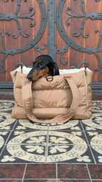 kakidogs Transportbox Cleo Hundetasche für kleine Hunde Braun – Bild 1 von 3