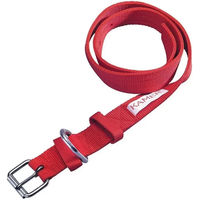 Produktbild von KAMER Hundehalsband aus doppeltem Nylon in Rot 125 cm