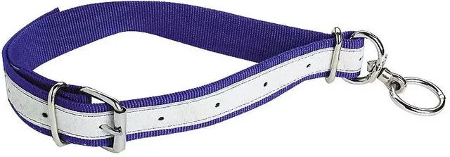 KAMER Hundehalsband aus Nylon in Blau – Bild 1 von 1