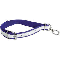 Produktbild von KAMER Hundehalsband aus Nylon in Blau