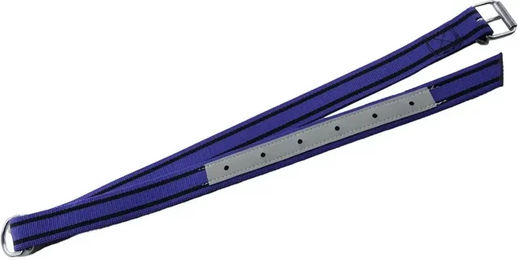 Kamer Rinderhalsband aus hochwertigem Nylon – Bild 1 von 1