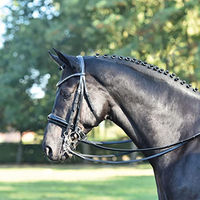 Produktbild von Kandare LUXURY Gebiss aus Leder in Schwarz