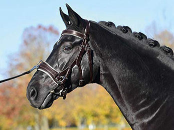 Kappzaum FIT PRO für Ponys aus Leder in Braun – Bild 1 von 2