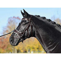 Produktbild von Kappzaum FIT PRO für Ponys aus Leder in Braun