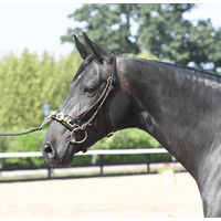 Produktbild von Kappzaum Professional aus Leder in Braun mit Messing für Warmblut