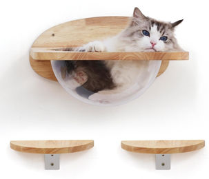 Kaps Katzenwandmöbel Kletterwand aus Massivholz mit transparenter Kapsel und 2 Trittpedalen Ø 40 cm – Bild 1 von 1