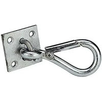 Produktbild von Karabinerplatte aus Stahl für Wandbefestigung von Kameras in Silber