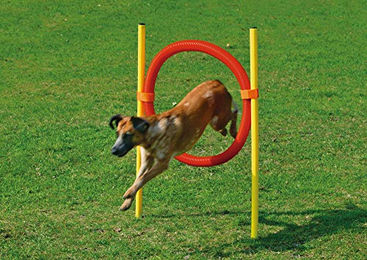 Karlie Agility Reifen Set L Rot-Gelb für Hundetraining – Bild 1 von 2
