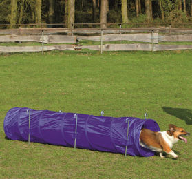 Karlie Agility Tunnel für Welpen und kleine Hunde Blau oder Lila 198 x 40 cm – Bild 1 von 2