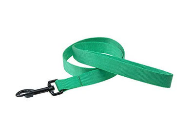 Karlie Art Sportiv Plus Führleine aus Gurtband Mint 100 cm - 1 Stk. – Bild 1 von 2