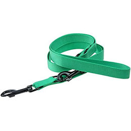 Karlie Art Sportiv Plus Führleine Gurtband Mint XS 200 cm – Bild 1 von 3