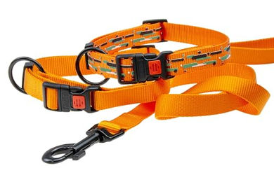 Karlie Art Sportiv Plus Halsband Mix and Match Stripe verstellbar Nylon L 45-65 cm Bunt – Bild 1 von 2