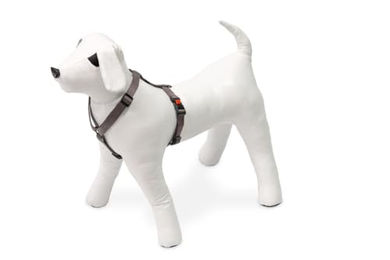 Produktbild von Karlie Art Sportiv Plus Hundegeschirr aus Nylon Grau Größe M