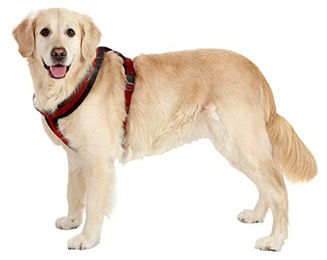 Karlie Art Sportiv Plus Hundegeschirr Cross Schwarz Rot 25mm 58-70cm – Bild 1 von 2