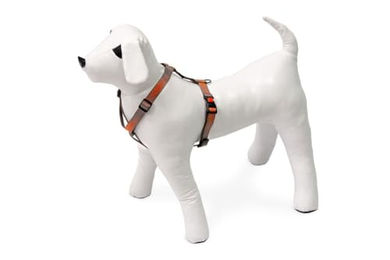 Karlie Art Sportiv Plus Hundegeschirr Mix and Match Dots aus Nylon 20 mm Breite 45-70 cm Brustumfang – Bild 1 von 3