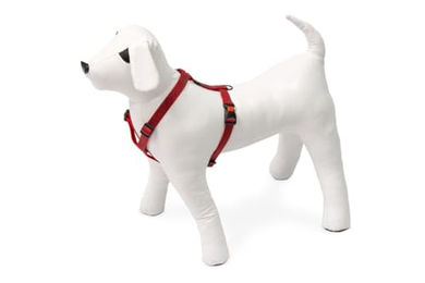 Karlie Art Sportiv Plus Hundegeschirr Mix and Match Graphic mit Motiv Breite 15 mm Brustumfang 35-50 cm - 1 Stk. – Bild 1 von 2