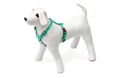 Karlie Art Sportiv Plus Hundegeschirr Mix and Match Mint Nylon Größe L 25 mm Breite - 1 Stk. – Bild 1 von 2