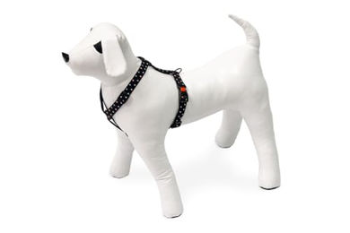 Karlie Art Sportiv Plus Hundegeschirr Mix and Match mit Motiv aus Polyester 20 mm Breite 45-70 cm Brustumfang – Bild 1 von 3