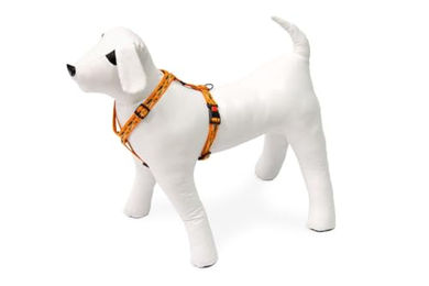 Karlie Art Sportiv Plus Hundegeschirr Mix and Match Stripe mit Motiv 15 mm Breite 35-50 cm Brustumfang – Bild 1 von 1