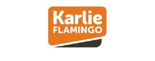 Karlie Art Sportiv Plus Hundeleine Hellgrau L 100 cm - 1 Stk. – Bild 1 von 2