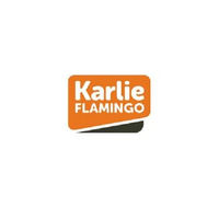 Produktbild von Karlie Art Sportiv Plus Hundeleine Hellgrau L 100 cm - 1 Stk.