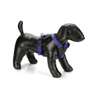 Produktbild von Karlie Art Sportiv Premium Y-Geschirr für Hunde aus Neopren Blau Größe L 53-65 cm