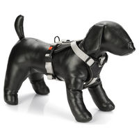 Produktbild von Karlie Art Sportiv Premium Y-Geschirr für Hunde aus Neopren Grau 45-57 cm