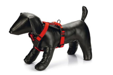 Karlie Art Sportiv Premium Y-Geschirr für Hunde aus Nylon in Rot Grösse S 45-57 cm – Bild 1 von 2