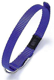 Karlie ASP Hundehalsband aus Nylon in Blau 25 mm 55 cm – Bild 1 von 2