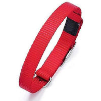 Produktbild von Karlie ASP Hundehalsband aus Nylon in Rot 25 mm 55 cm