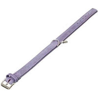Produktbild von Karlie Buffalo Denim Halsband Lila Leder 22 mm 45 cm