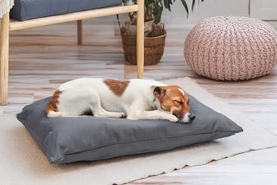 Karlie Charly Hundekissen aus Baumwolle Grau - 80 cm – Bild 1 von 5