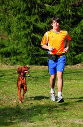 Karlie Doggy-Jogger Sportgurt mit Joggingleine für Hunde Schwarz Größe L – Bild 1 von 6