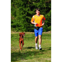Produktbild von Karlie Doggy-Jogger Sportgurt mit Joggingleine für Hunde Schwarz Größe L