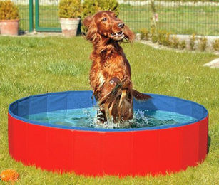 Karlie Doggy Pool Hundepool Rot-Blau 160 cm - 1 Stk. – Bild 1 von 3