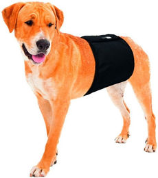 Karlie Flamingo Gentleman Wraps Plus Hundewindeln für Rüden Schwarz 40 x 10 cm – Bild 1 von 2