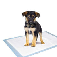 Produktbild von Karlie Flamingo Puppy Pads Welpenunterlagen 60 x 40 cm 10 Stück