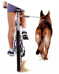 Karlie Flamingo Walky Dog Fahrrad Freilaufleine – Bild 1 von 2