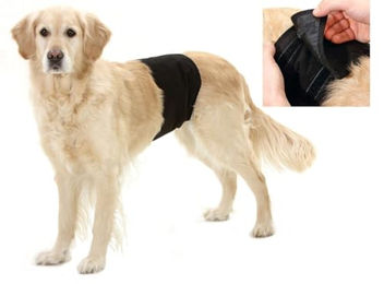 Karlie Gentleman Wraps Plus Rüdenbinde Schwarz Größe L - 1 Stk. – Bild 1 von 6