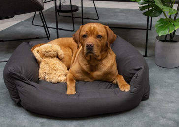 Karlie Hundebett Charly aus Baumwolle Grau 80x70x25cm – Bild 1 von 13