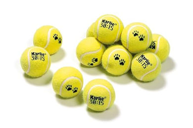 Karlie Hundespielzeug Tennisball Set aus Gummi Gelb 12er Pack - 12 x 6 cm – Bild 1 von 13