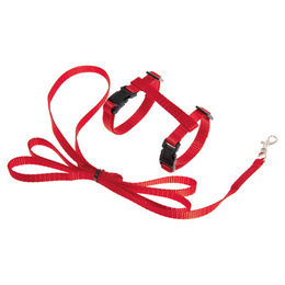 Produktbild von Karlie Kätzchengarnitur rot für Kitten